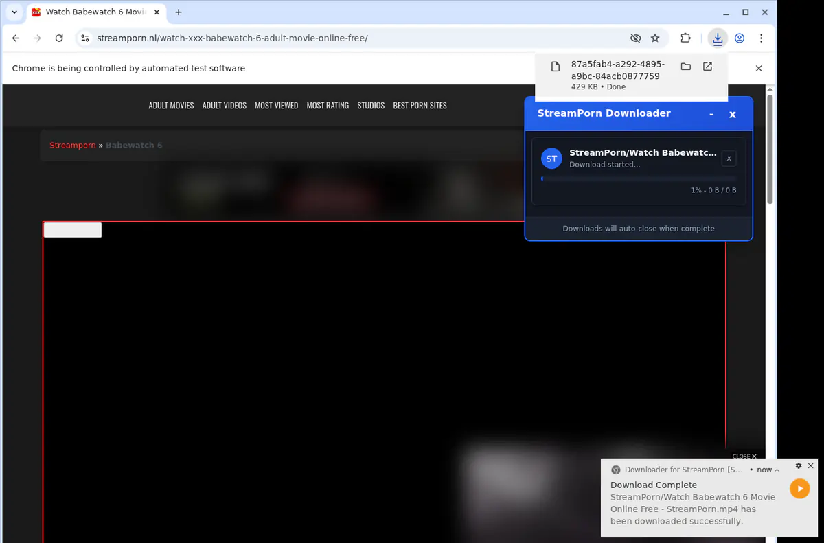 Streamporn Video Downloader screenshot 2