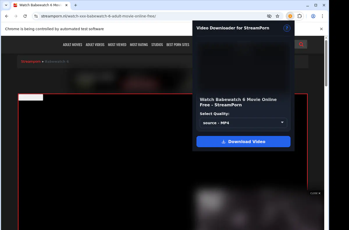 Streamporn Video Downloader screenshot 3